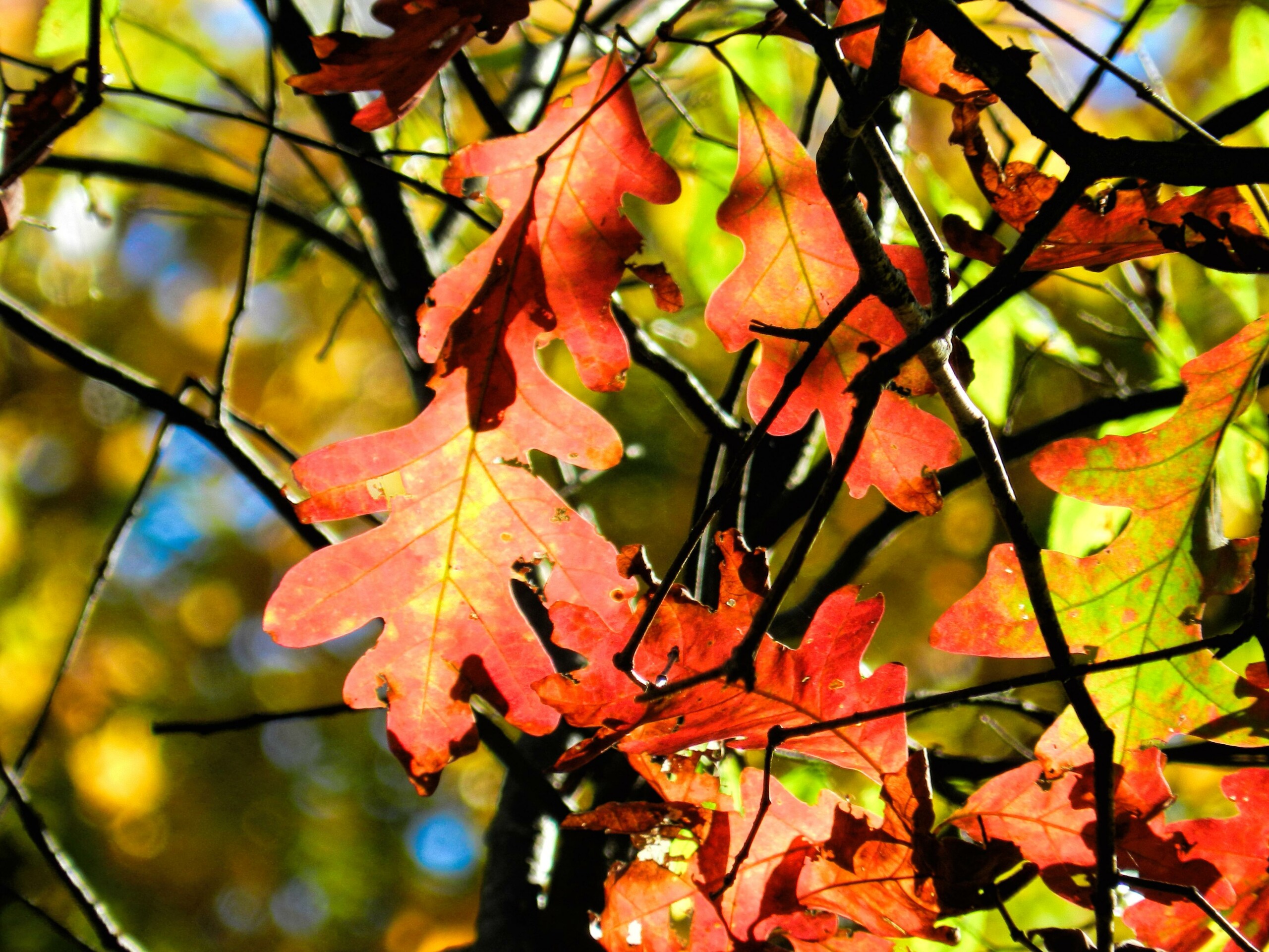 4 Smart Tips To Prepare for and Embrace Change